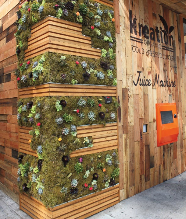 Thirst-quenching:Kreation's signature succulents