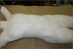 Plaster Casts