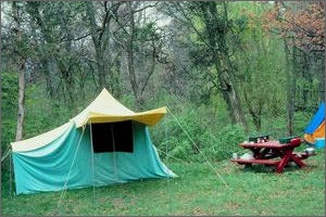 Online Children's Camps