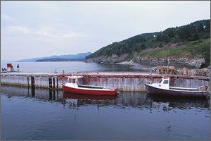 Floating Docks