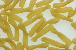 Fresh Pasta Making