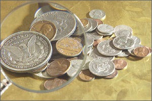 Fundraising Consultant