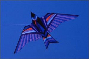 Kite Building and Sales