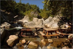 Picnic Tables