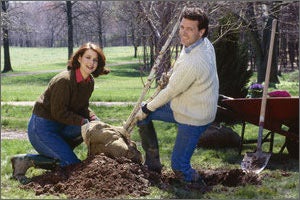 Tree Planting Service