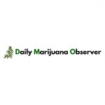 Daily Marijuana Observer