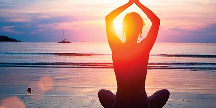 How Successful Are You Really? Let the Wellness Wheel Decide!