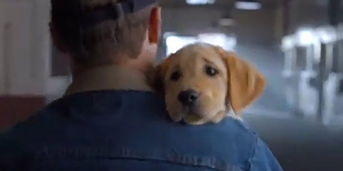 Poll: What Was Your Favorite Super Bowl Commercial?
