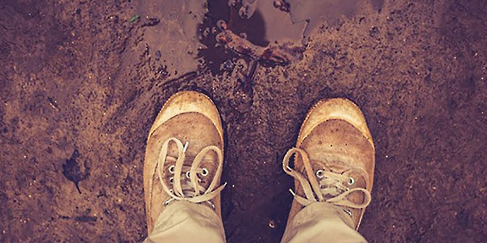 Why are Tech Startups Failing? I Give You 6 Critical Reasons