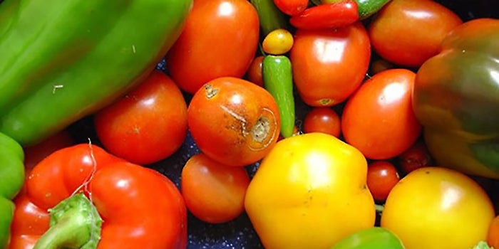 10 Simple Ways to Eat Healthy Without Thinking