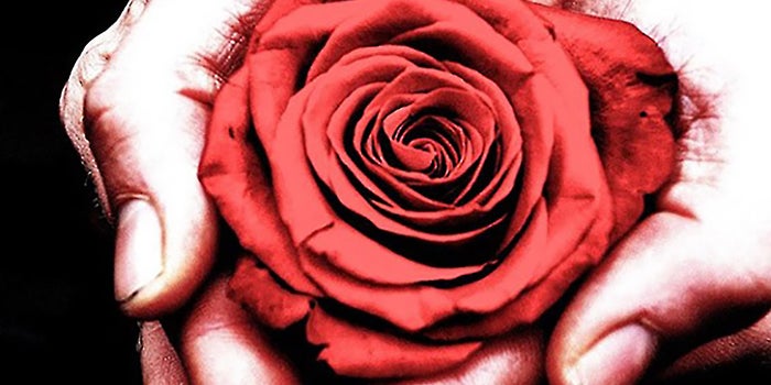 Customers Still Furious Over 1-800-Flowers' Valentine's Day Flop