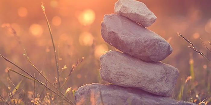 7 Essential Habits of a Healthy Entrepreneur