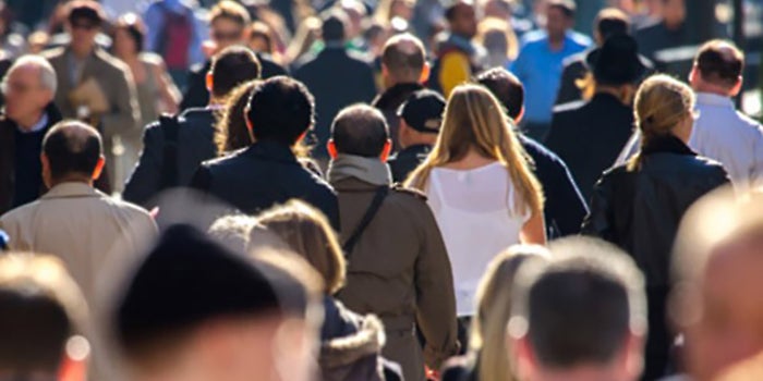 Which Age Group Is Most Likely to Be Hacked?