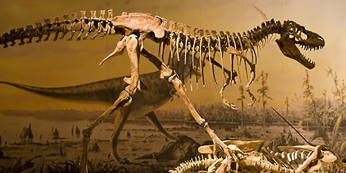 Insure Yourself Against Extinction by Building Your Personal Brand