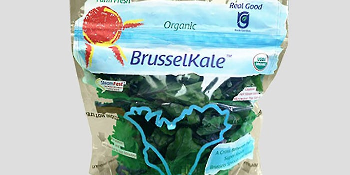 BrusselKale: The Trendiest Superfood of All?