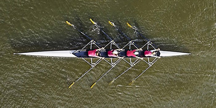 6 Qualities of Highly Successful Teams (Infographic)