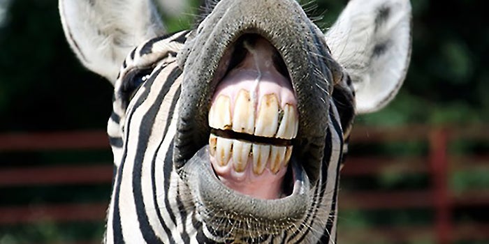 Why Entrepreneurs Have to Spend More Time on Their Teeth