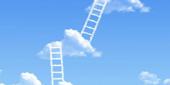 Want to Succeed at a Startup? Focus on These 5 Qualities.