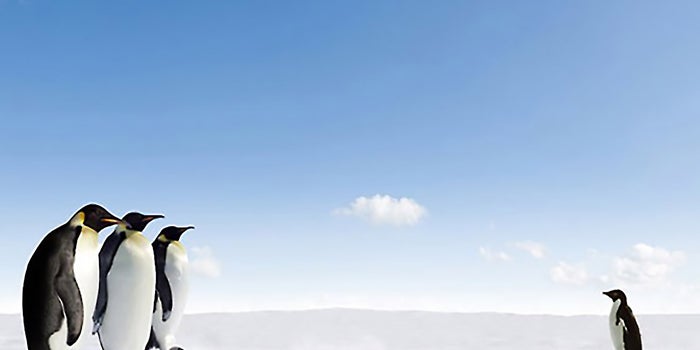 4 Pointers for Getting the Most Out of Meetings