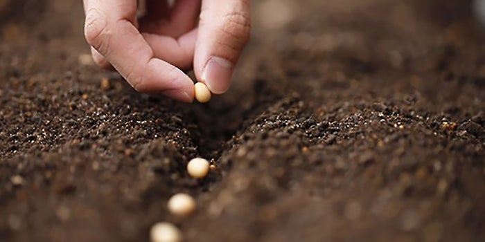 A Set of Core Values Is What Makes Company Culture a Real Thing