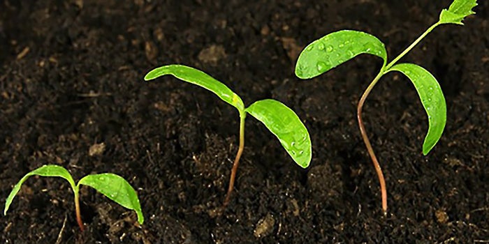 How to Start Developing Your eLearning Courses