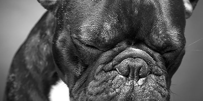 Are Your Most Loyal Employees Also the Most Likely to Be Disengaged?