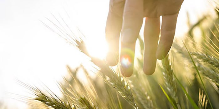 5 Paths to Growth Every Entrepreneur Should Explore