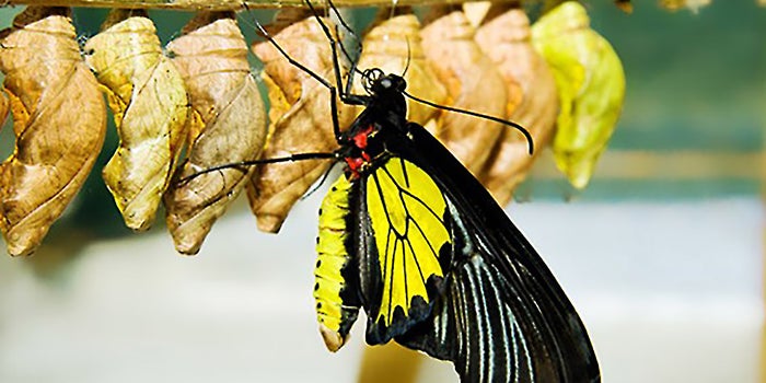 6 Points Along an Entrepreneur's Journey to Change Management