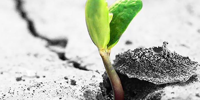 15 Ways to Revolutionize Your Workplace
