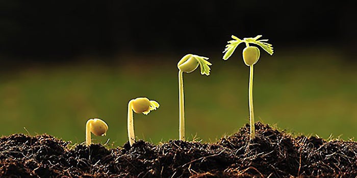 4 Questions to Ask Before Doing a National Product Rollout