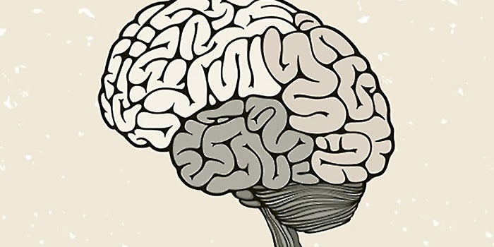 4 Strategies for Making Your Product 'Smarter'