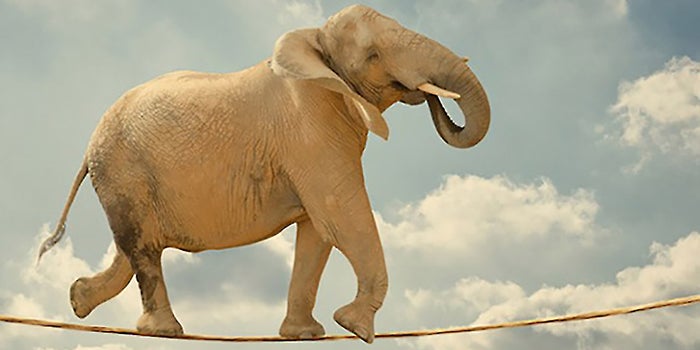 3 Ways to Retain a Growing Startup's Original Spirit