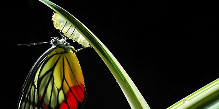 7 Qualities Successful Entrepreneurs Have in Common
