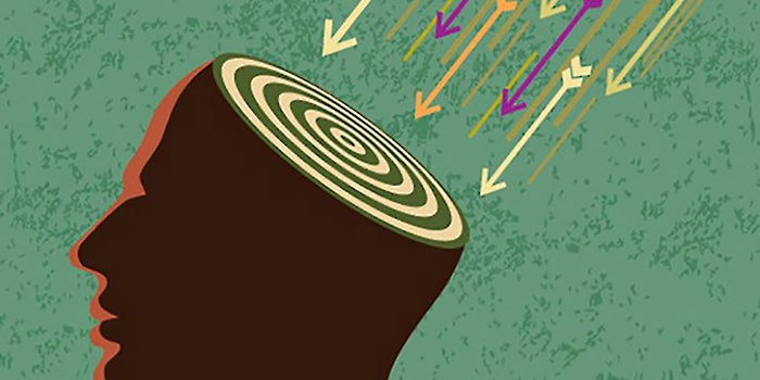 Mind Over Money: The Brain Chemistry Behind Investing