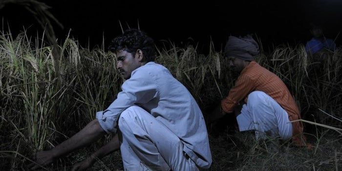 This Startup Wants to Shine a Light on Far Reaches of the Globe
