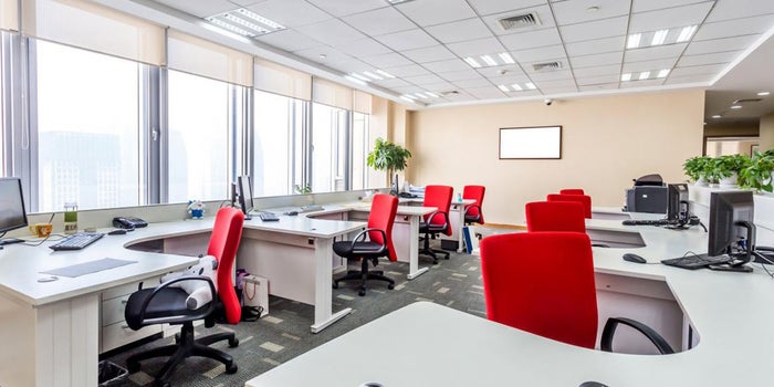 Aiming to Improve Your Office Space? Consider This Before a Move or Redesign.