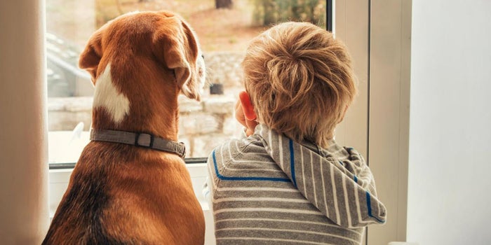 Use the 'Puppy' Approach to Close More Sales