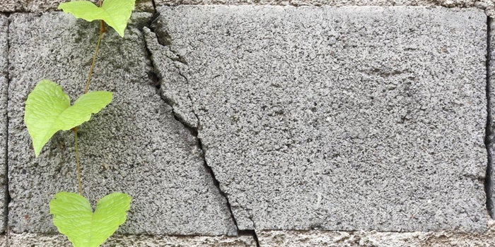 5 Tips for Seeking -- and Weeding Through -- Other People's Opinions About Your Business