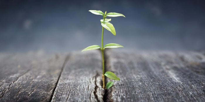 Tips When Raising The Seed: Startup Pitching