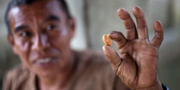 Sweet Deal: How One Company Found a New Way to Support Cacao Farmers