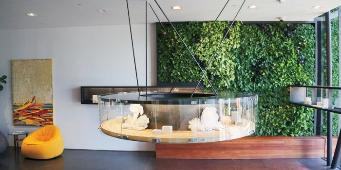 Vertical Gardens Exist. You're Welcome.