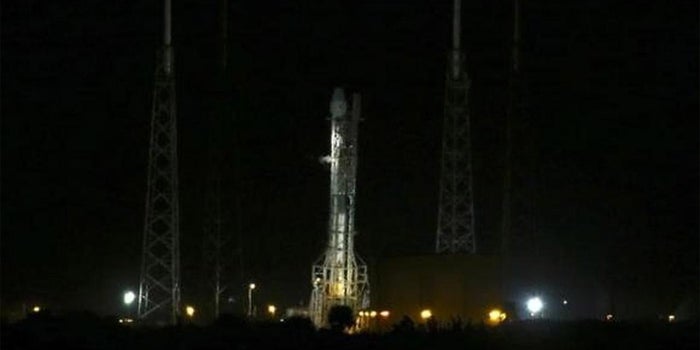 SpaceX Nixes Rocket Launch at Last Minute