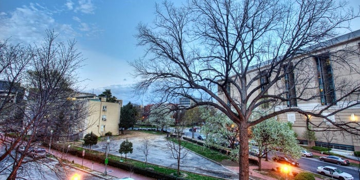 Just Like Mighty Oaks, Businesses Need to Be Nurtured to Grow