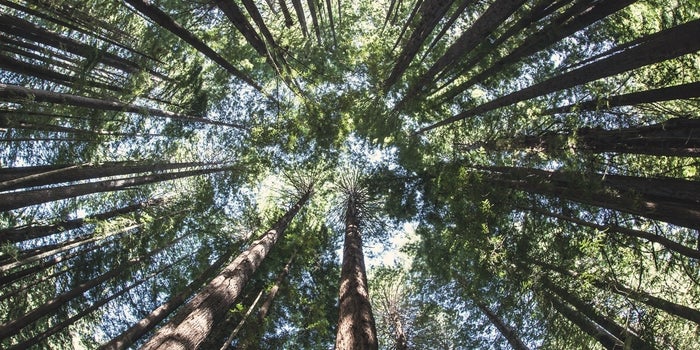 How a Grassroots Fund Profits From Looking Beyond the Money