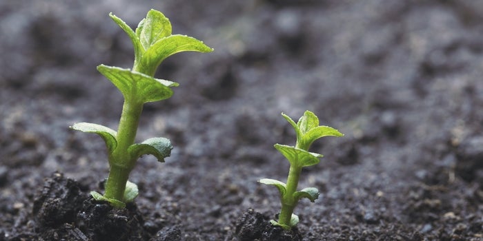 4 Signs Your Startup Has Officially Matured Into an Established Enterprise