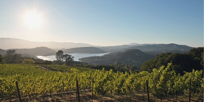 Why the American Wine Industry Needs a Shakeup