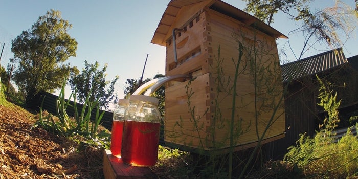 Flow Hive, a Gadget for Beekeepers, Sets New Crowdfunding Record on Indiegogo