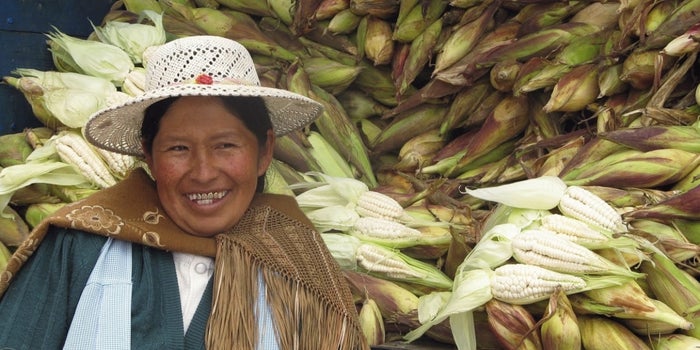 This Firm Keeps Capital Flowing to Micro-Entrepreneurs