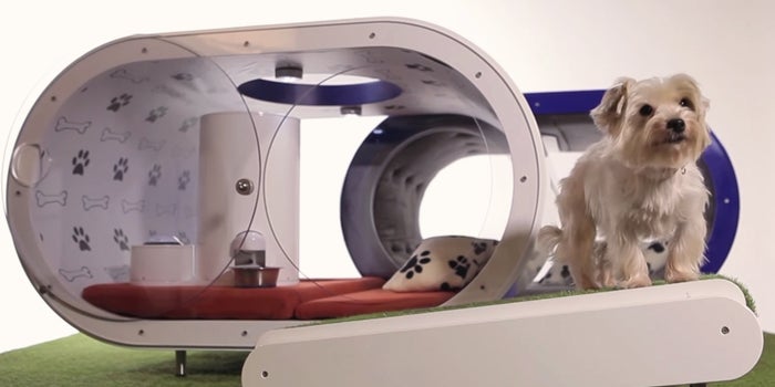 For $30K, Your Dog Could Have a House With a Hot Tub