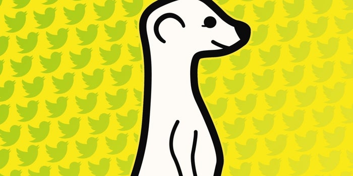 Meerkat CEO on Twitter Blockage: It's Their House, and We Need to Respect That